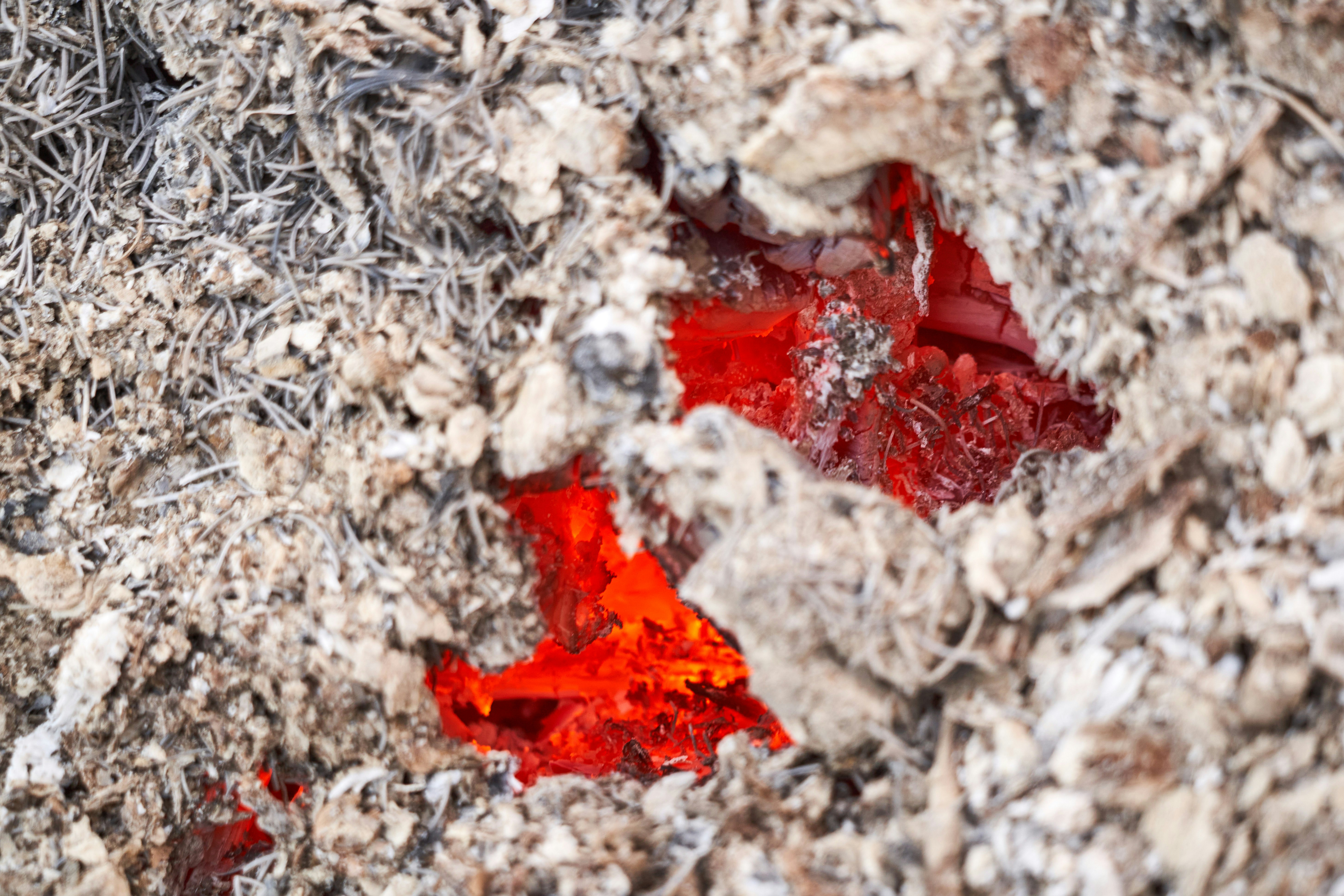 red maple leaf on white and gray ground